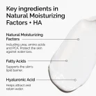The Ordinary Natural Moisturizing Factors + HA 100 ML