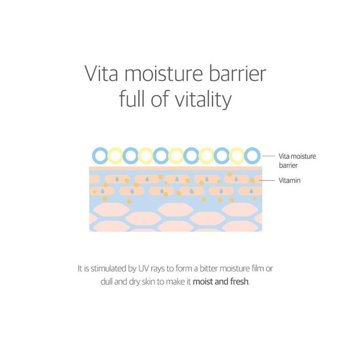 Birch Juice Moisturizing Sun Cream SPF50+ PA++++ 7 Birch Juice Moisturizing Sun Cream SPF50+ PA++++ 7