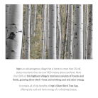 Round Lab - Birch Juice Moisturizing 3