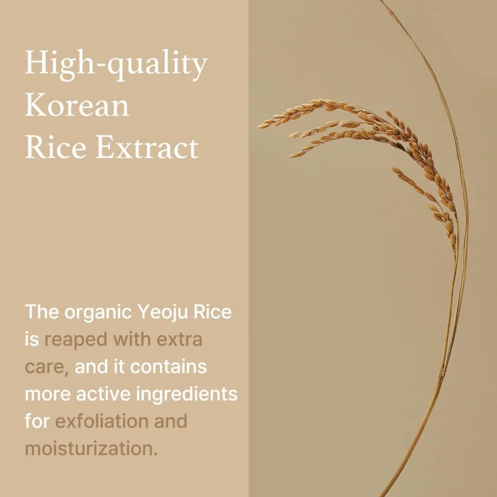 I'm From Rice Mask
