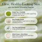 Arencia - Fresh Green Rice Mochi Cleanser 5