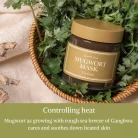 I'm from - Mugwort Mask 4