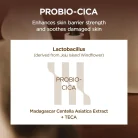 SKIN 1004 - Madagascar Centella Probio-Cica Intensive Ampoule 5