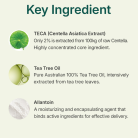 CENTELLIAN24 - Madeca Powder Tea Tree AC 6g 4