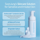 Soon Jung Whip Cleanser 6