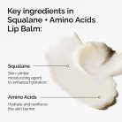 The Ordinary - Squalane + Amino Acids Lip Balm 3
