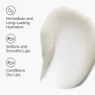 The Ordinary - Squalane + Amino Acids Lip Balm 4