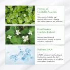 Dr.Althea Green Tea Fresh Sunscreen 3