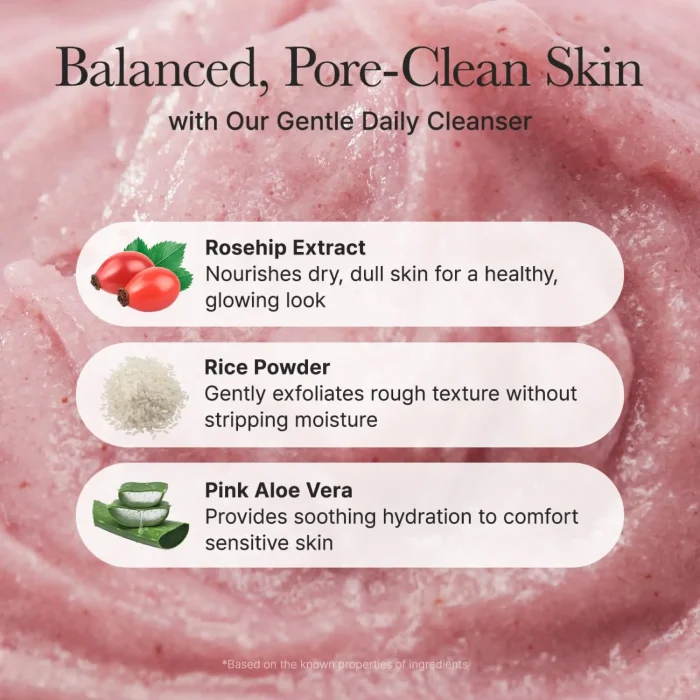 Arencia - Fresh Royal Rosehip Rice Mochi Cleanser 9 Arencia - Fresh Royal Rosehip Rice Mochi Cleanser 9