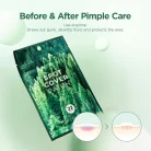 SKIN1004 - Tea-Trica Spot Cover Patch - 1 Pack (22EA) 2