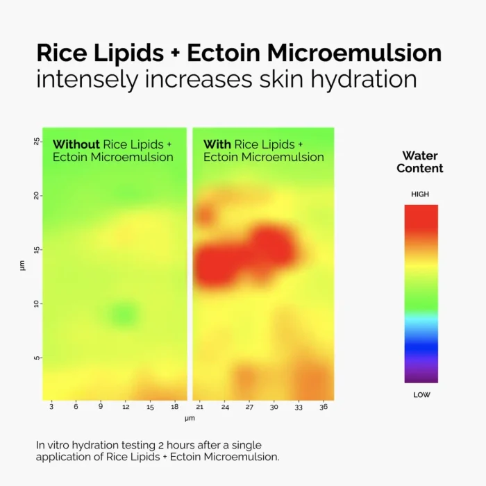 The Ordinary - Rice Lipids + Ectoin Microemulsion 60 ML 6 The Ordinary - Rice Lipids + Ectoin Microemulsion 60 ML 6